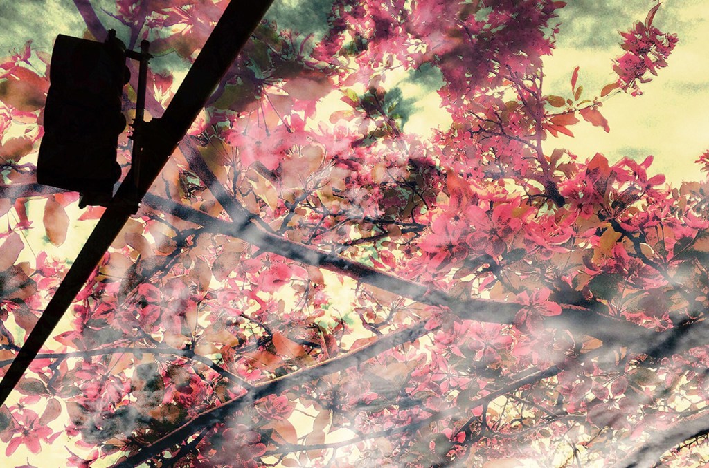 Social media digital art